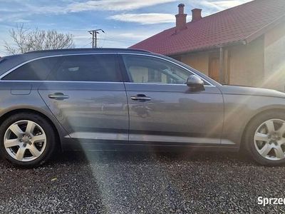 Używany 2016 Audi A4 Ambiente | 71 500 zł (Drogi)