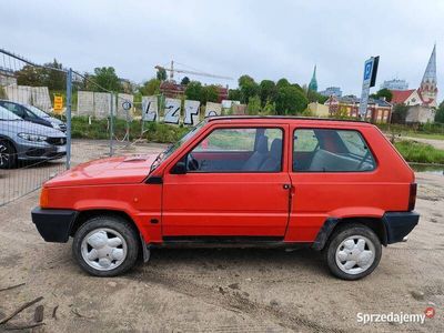 używany Fiat Albea Panda 1981 1,272 KM