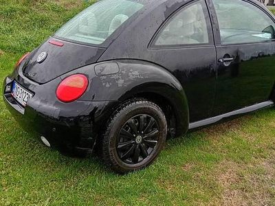 VW Beetle