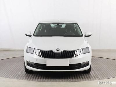 Biały Używany 2019 Skoda Octavia Hatchback | 45 999 zł (Uczciwa cena)