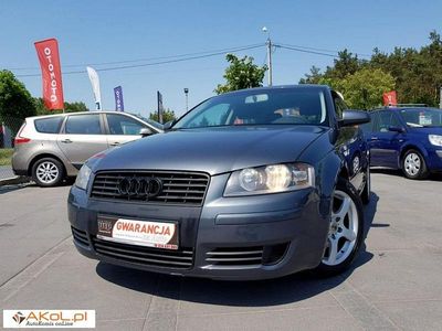 Szary (metalik, perła) Używany 2005 Audi A3 | 17 900 zł (Dość drogi)