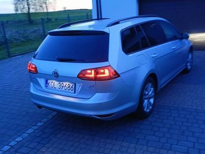 Używany 2016 VW Golf VII | 36 900 zł (Uczciwa cena)