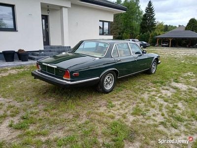 Używany Jaguar XJ6 1981 Sedan/Limuzyna