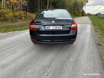 Używany 2017 Skoda Octavia | 46 500 zł (Uczciwa cena)