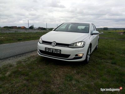 VW Golf VII