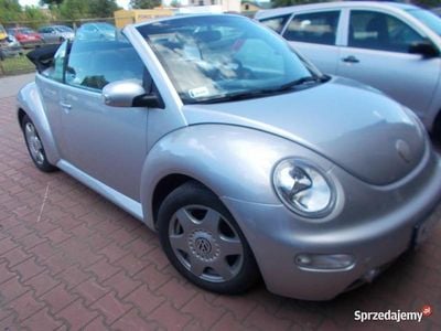 VW Beetle