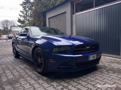 używany Ford Mustang Mustang