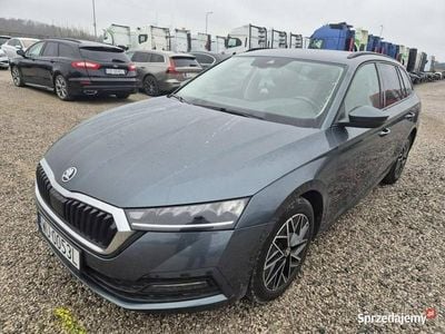 Używany Skoda Octavia 2020 Grafitowy Kombi