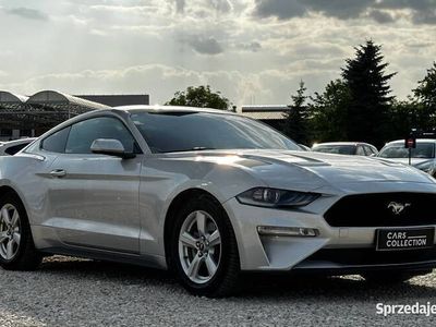 używany Ford Mustang 2.3 EcoBoost