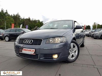Szary (metalik, perła) Używany 2004 Audi A3 | 17 900 zł (Drogi)