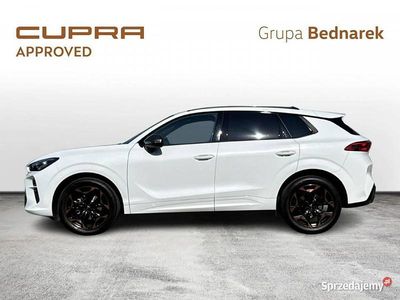 Biały Używany 2024 Cupra Terramar SUV | 154 900 zł