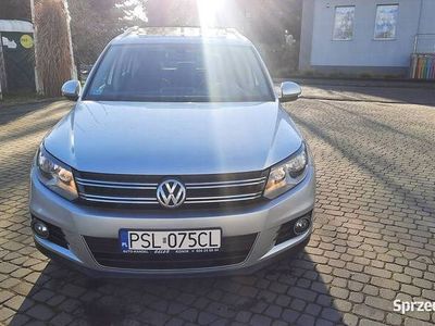 używany VW Tiguan Tiguan 2.0 TDI 150 KM Panorama Navi Klimatronic2.0 TDI 150 KM Panorama Navi Klimatronic