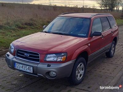 Używany Subaru Forester 2002 Czerwony SUV