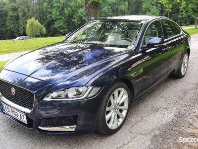 używany Jaguar XF I 3.0 TDV6 Portfolio 50tkm