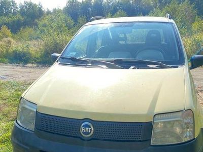 używany Fiat Panda 