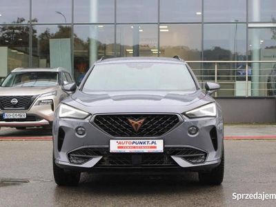 Używany 2024 Cupra Formentor SUV | 134 900 zł (Dość drogi)