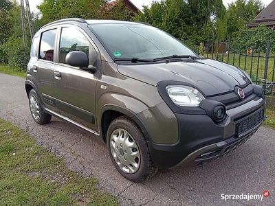 Używany 2020 Fiat Panda Cross Cross Hatchback | 25 800 zł