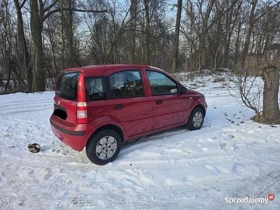 Używany 2007 Fiat Panda | 3250 zł (Super Cena)