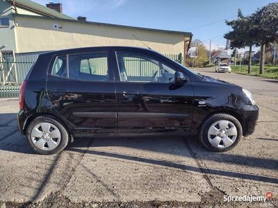 używany Kia Picanto 1.1 Benzyna 2007