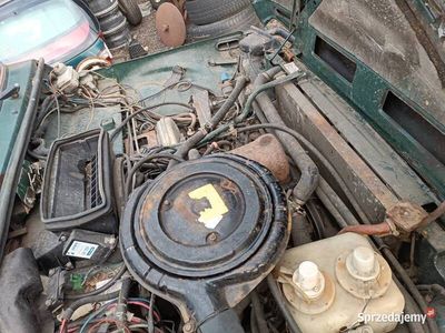 Zielony Używany 2000 Lada niva SUV | 1999 zł