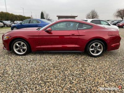 używany Ford Mustang VI