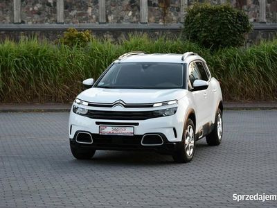 Biały Używany 2019 Citroën C5 Aircross SUV | 49 900 zł (Uczciwa cena)