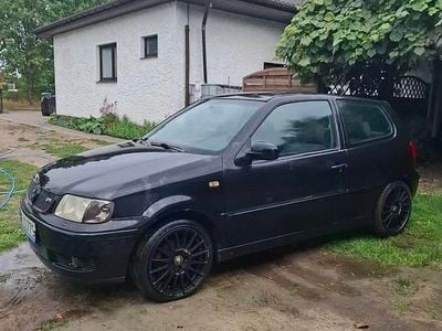 VW Polo