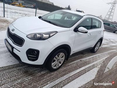 Biały Używany 2016 Kia Sportage SUV | 55 900 zł (Uczciwa cena)