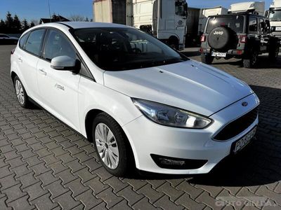 używany Ford Focus hatchback