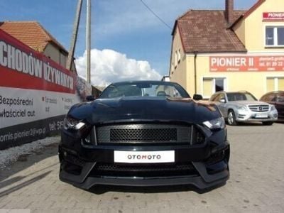 Inny kolor Używany 2019 Ford Mustang Kabriolet | 216 000 zł
