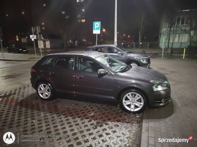 Czarny Używany 2010 Audi A3 Ambiente Hatchback | 33 900 zł (Drogi)