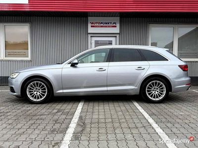 Używany Audi A4 Ambiente 2019 Kombi