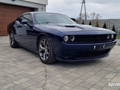 używany Dodge Challenger Lift 3,6 Kamera/Navi/Alu 20...