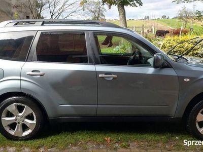 używany Subaru Forester Forester