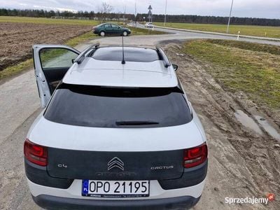 Używany Citroën C4 Cactus 2014 Biały Hatchback