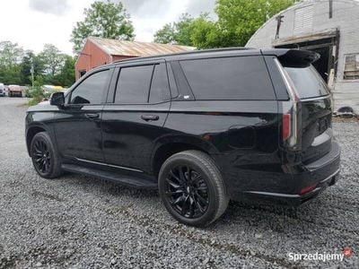 Używany 2021 Cadillac Escalade SUV | 187 000 zł