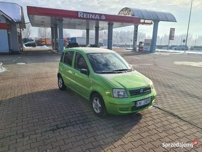 Zielony Używany 2004 Fiat Panda Hatchback | 6900 zł (Drogi)