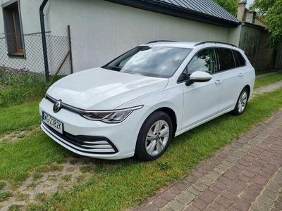 używany VW Golf VIII Variant 2.0 TDI SCR DSG Life