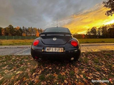 VW Beetle