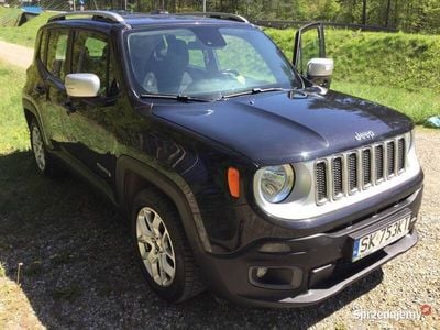 Używany 2016 Jeep Renegade SUV | 57 000 zł