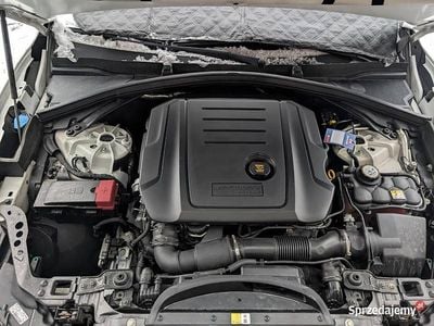 Używany Jaguar F-Pace 2018 SUV