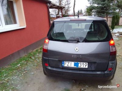 używany Renault Scénic II