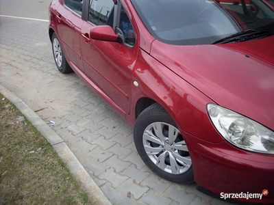 Używany 2004 Peugeot 307 Hatchback | 8500 zł (Drogi)