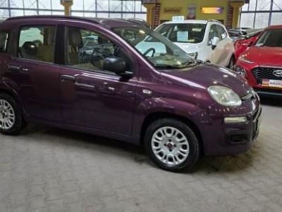 Fioletowy (metalik) Używany 2012 Fiat Panda Hatchback | 22 900 zł (Dość drogi)