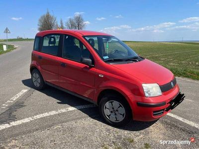 używany Fiat Panda Gaz uszkodzony