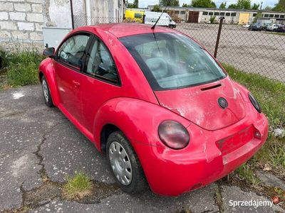 VW Beetle