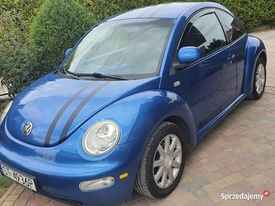 VW Beetle