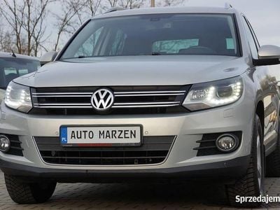Beżowy Używany 2011 VW Tiguan SUV | 39 700 zł (Dość drogi)