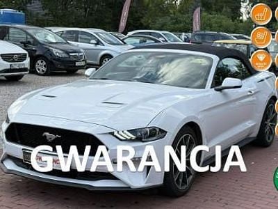 Biały (metalik) Używany 2019 Ford Mustang Kabriolet | 133 800 zł