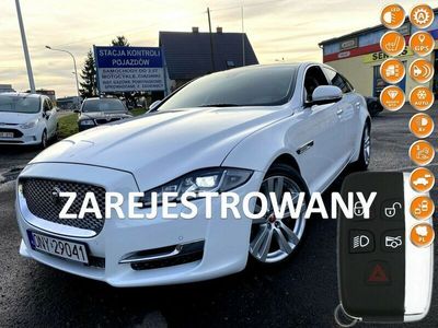 używany Jaguar XJ XJLong 3.0 Benzyna FULL LED SKÓRY FULL OPCJA Zar…